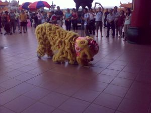Dancing Lions Dancing Lions